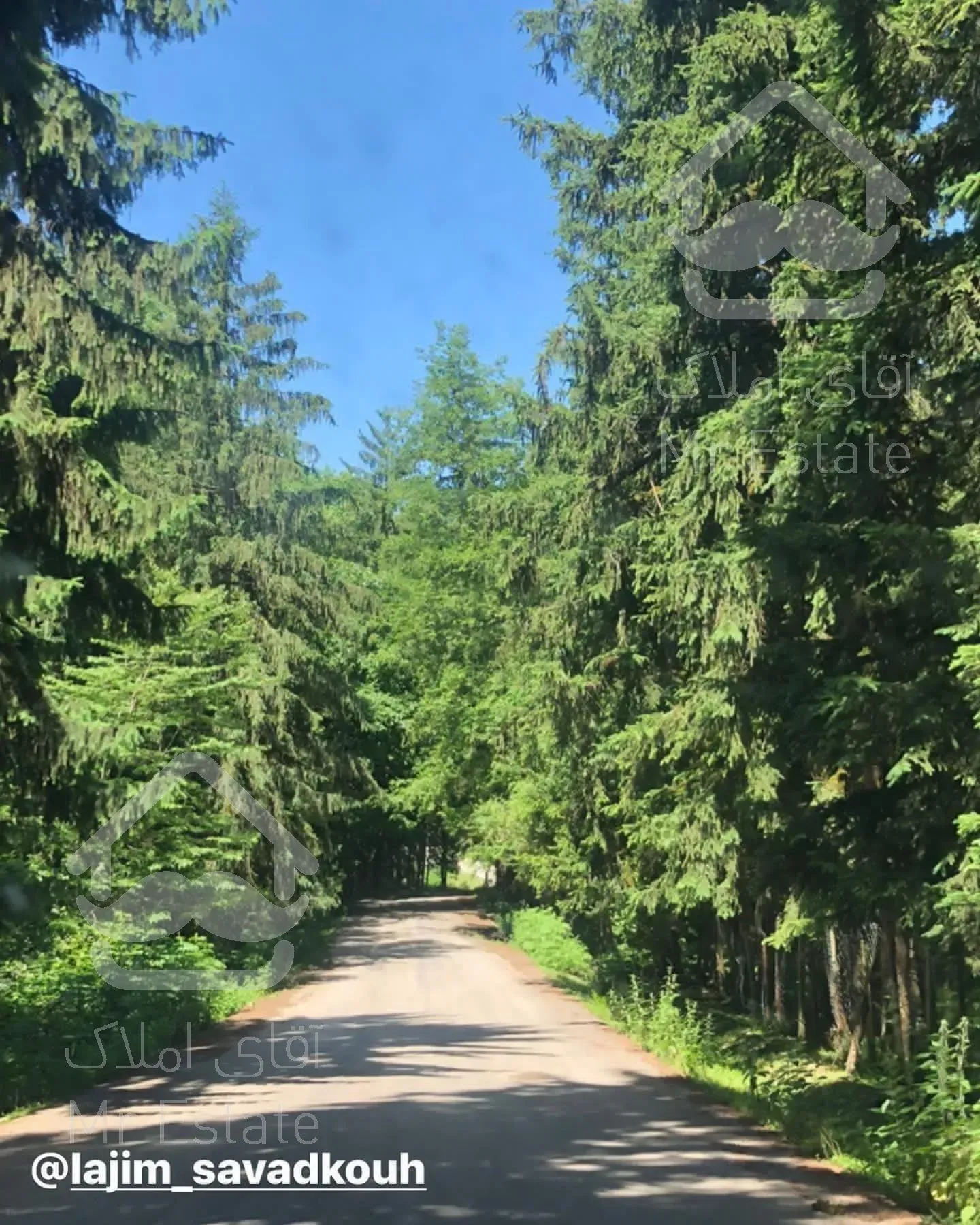 زمین  سوادکوه(بافت)