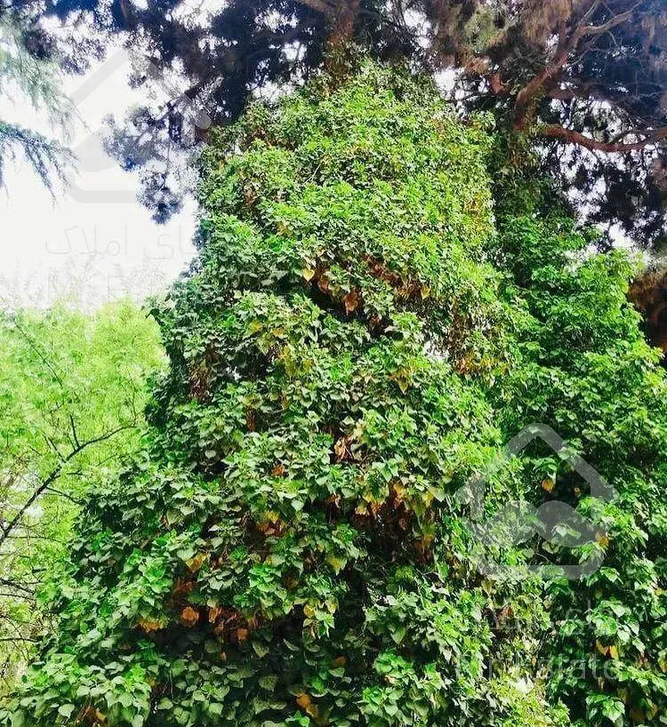 رهن اجاره آپارتمان١٥٠متر٣خواب اسکان سبز آبشارتهران