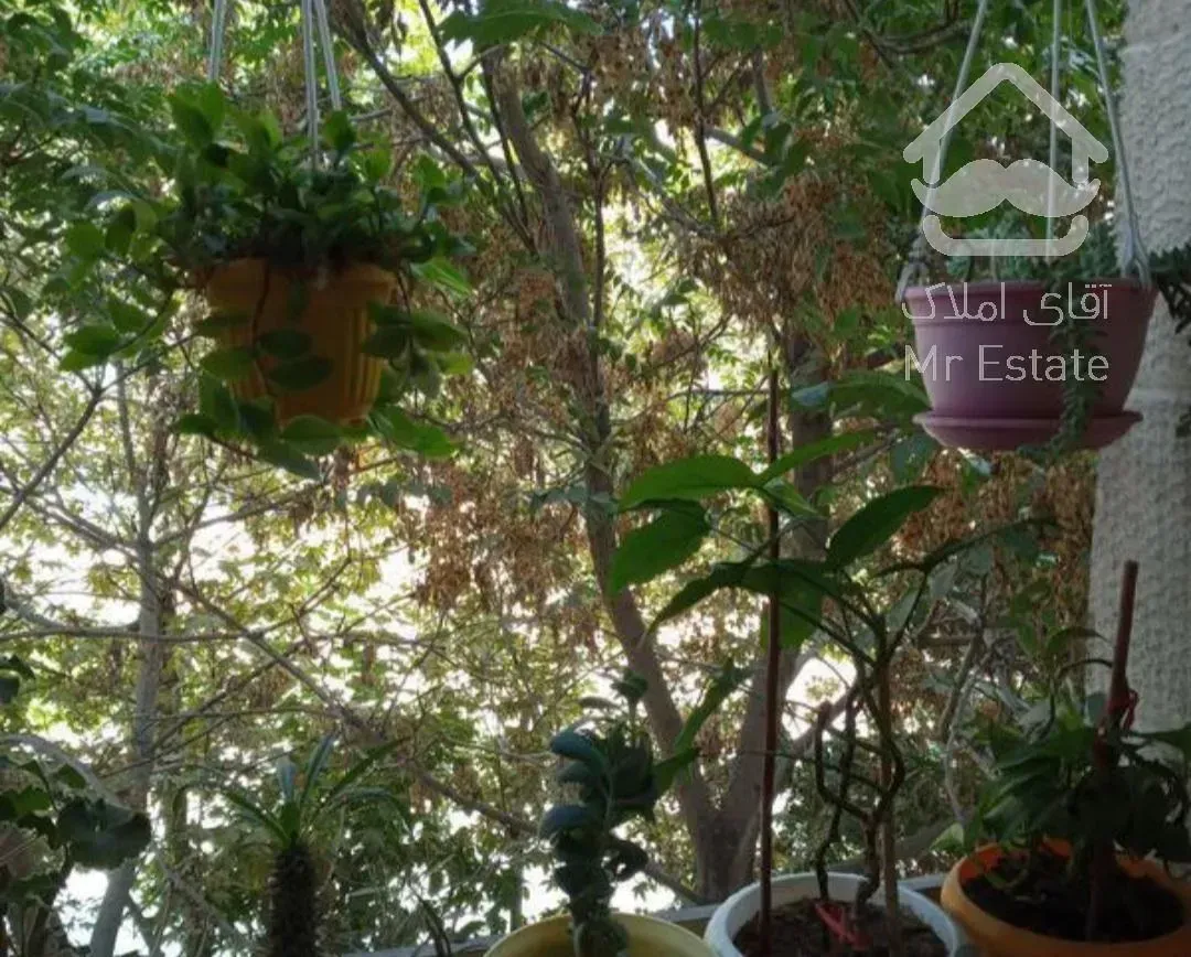 کد ۳۳۲ / ۹۰ متر / میلادها