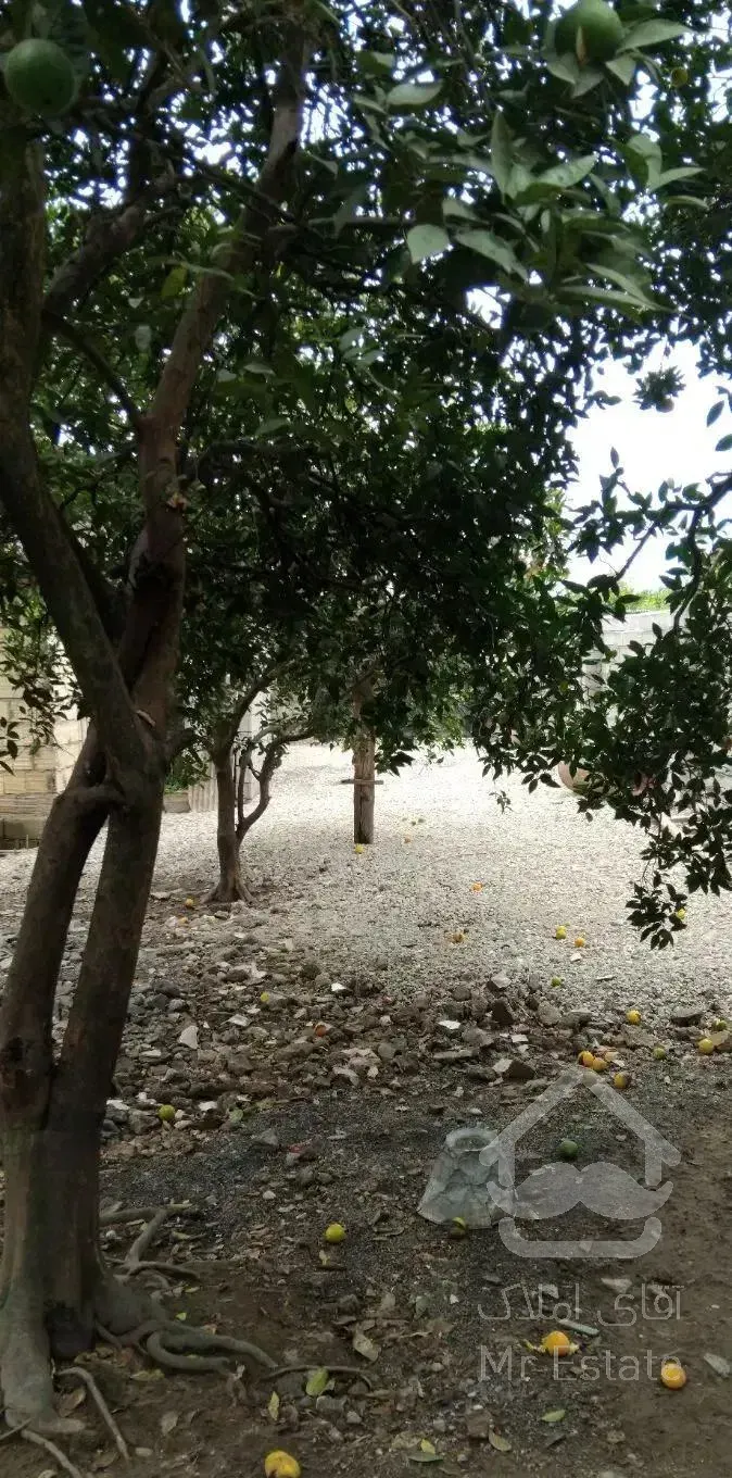 فروش زمین ۳۸۵ متری ،ویلای ۸۰متری چالوس (سردابرود)