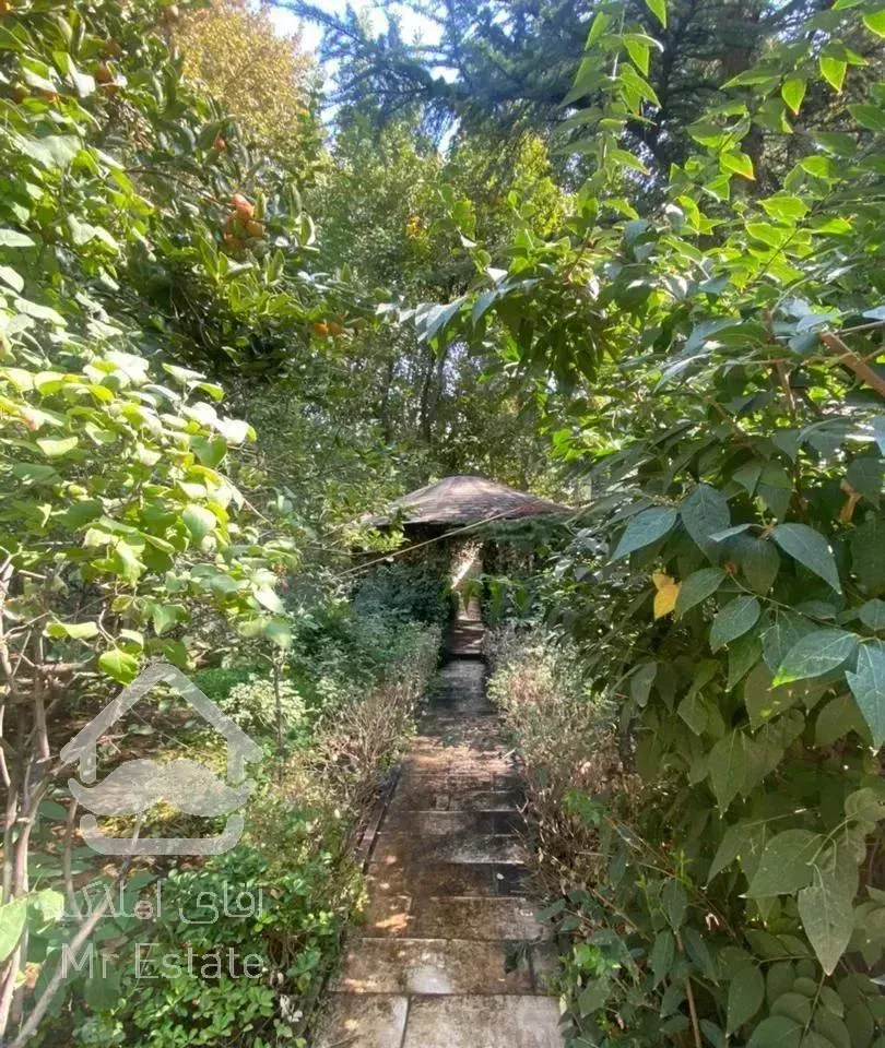 مغازه ۴۰ متری بر نیاوران