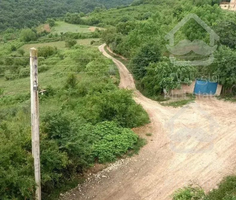 اجاره ویلا جنگلی دربست با ویو ابدی