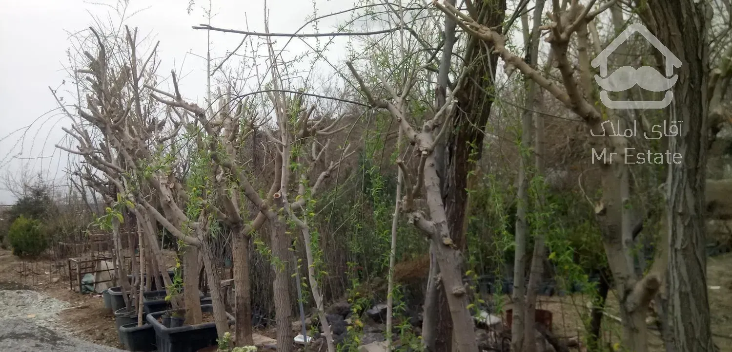 باغ باغچه ویلا طراحی سرویس خدمات نهال فضای سبز