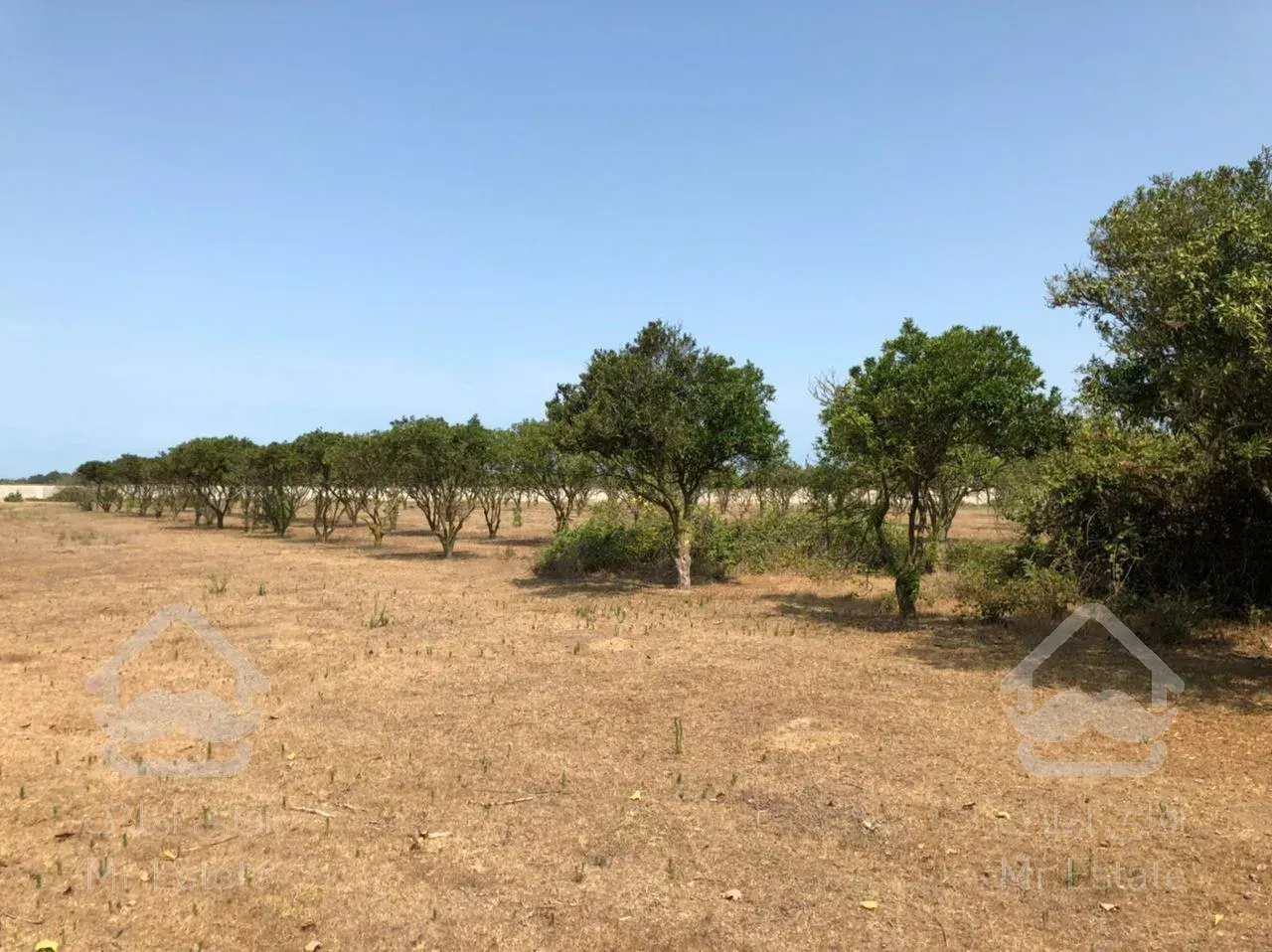 زمین واقع در فرح اباد ساری