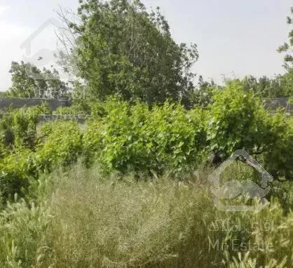 باغچه 450 متری در انجم آباد