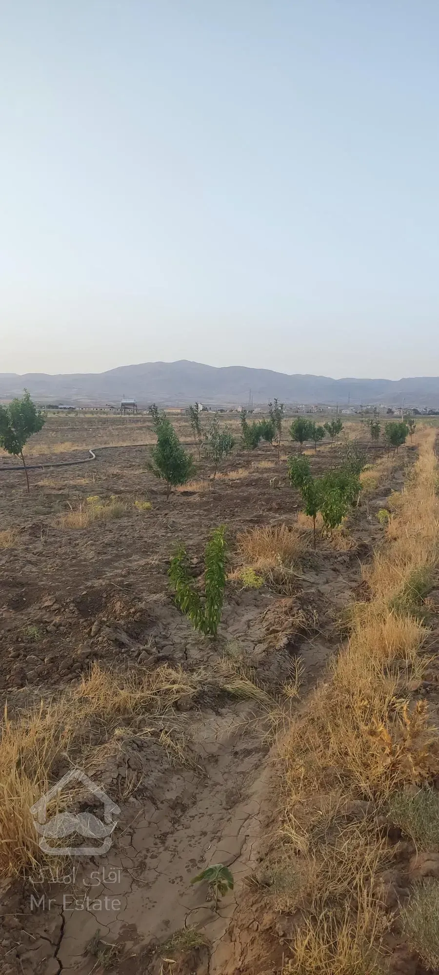 زمین کشاورزی و باغ