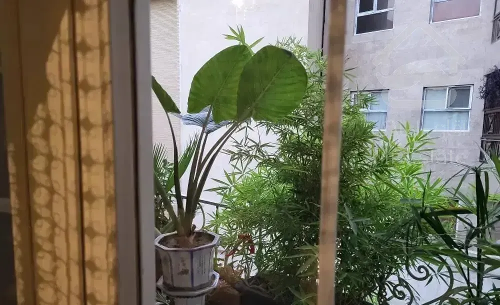 فروش اپارتمان ۱۷۵ متر. سه خواب