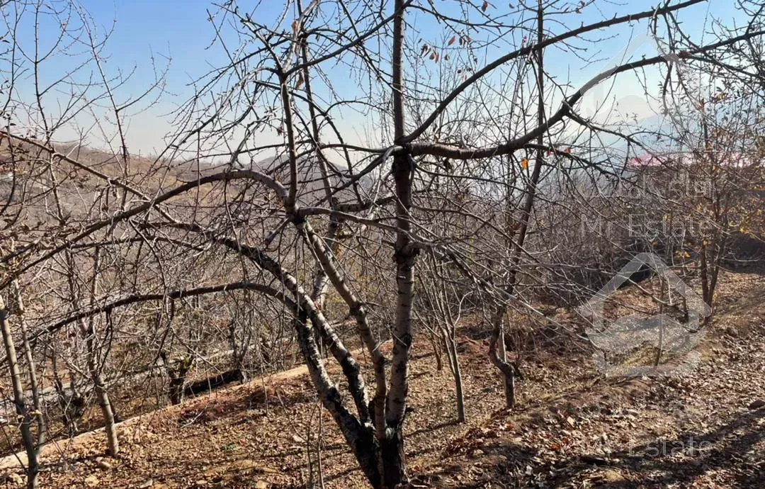۴۱۰ متر زمین با انشعابات لواسان کوچک