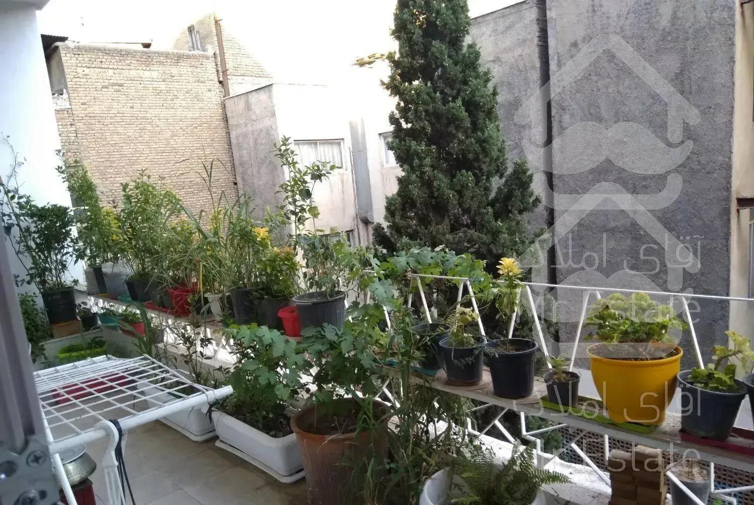 کریم خان-نجات اللهی