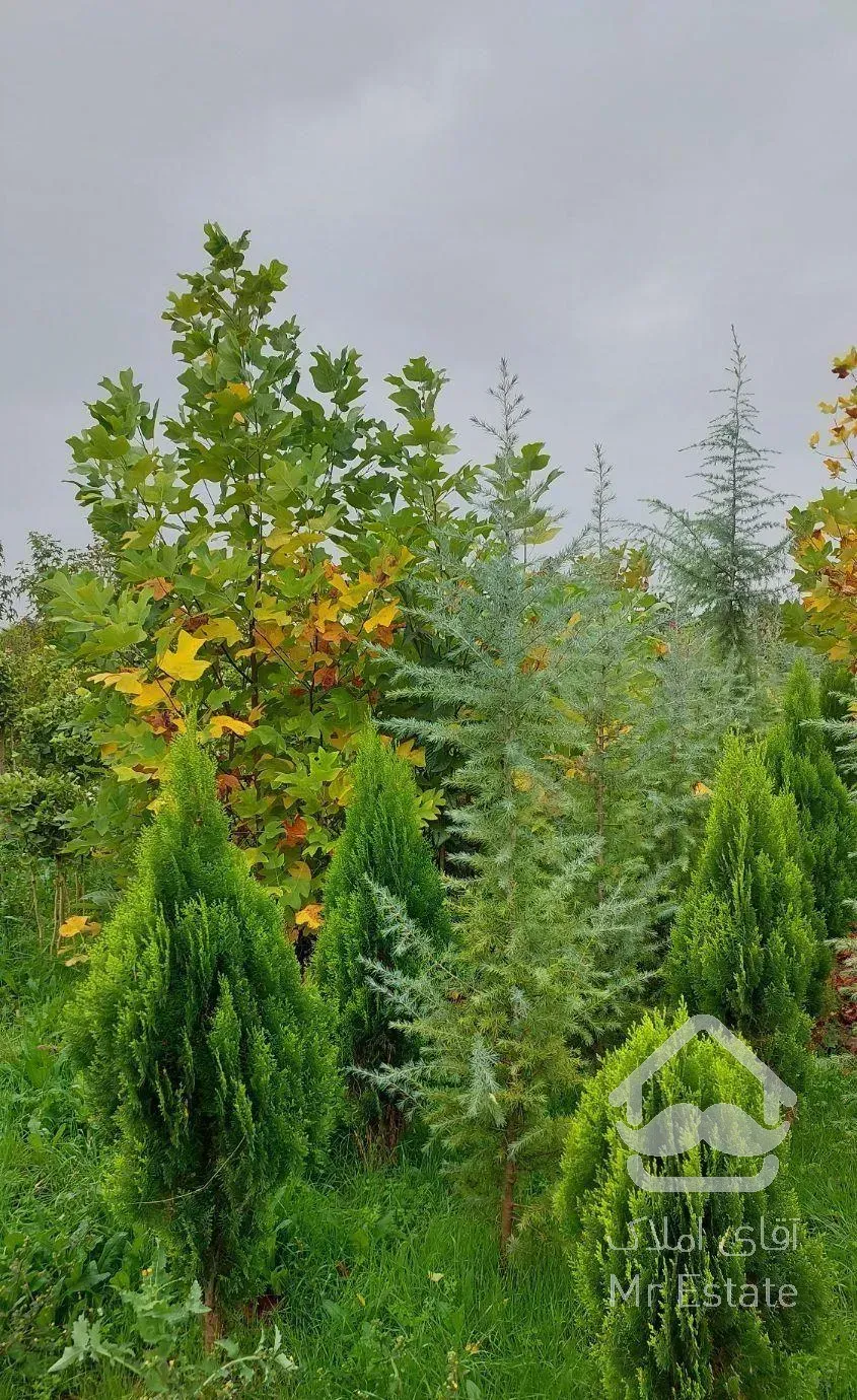 اجرای فضای سبز