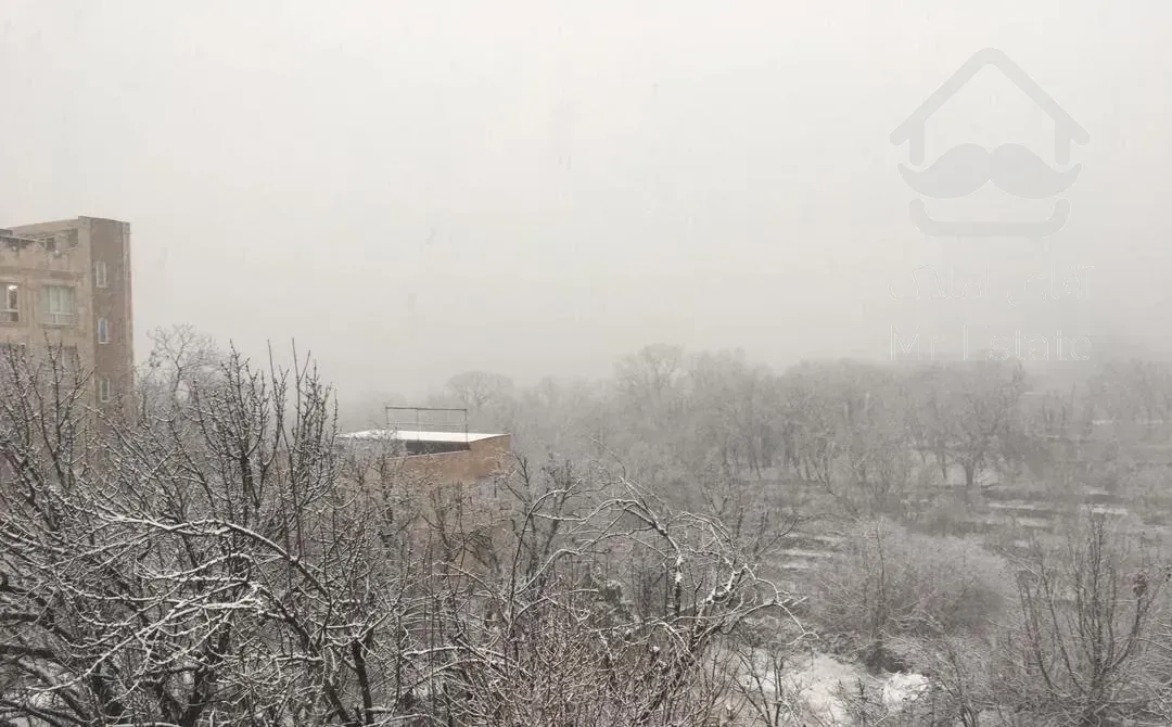 اکازیون کن چهار سر نور و ویو 360