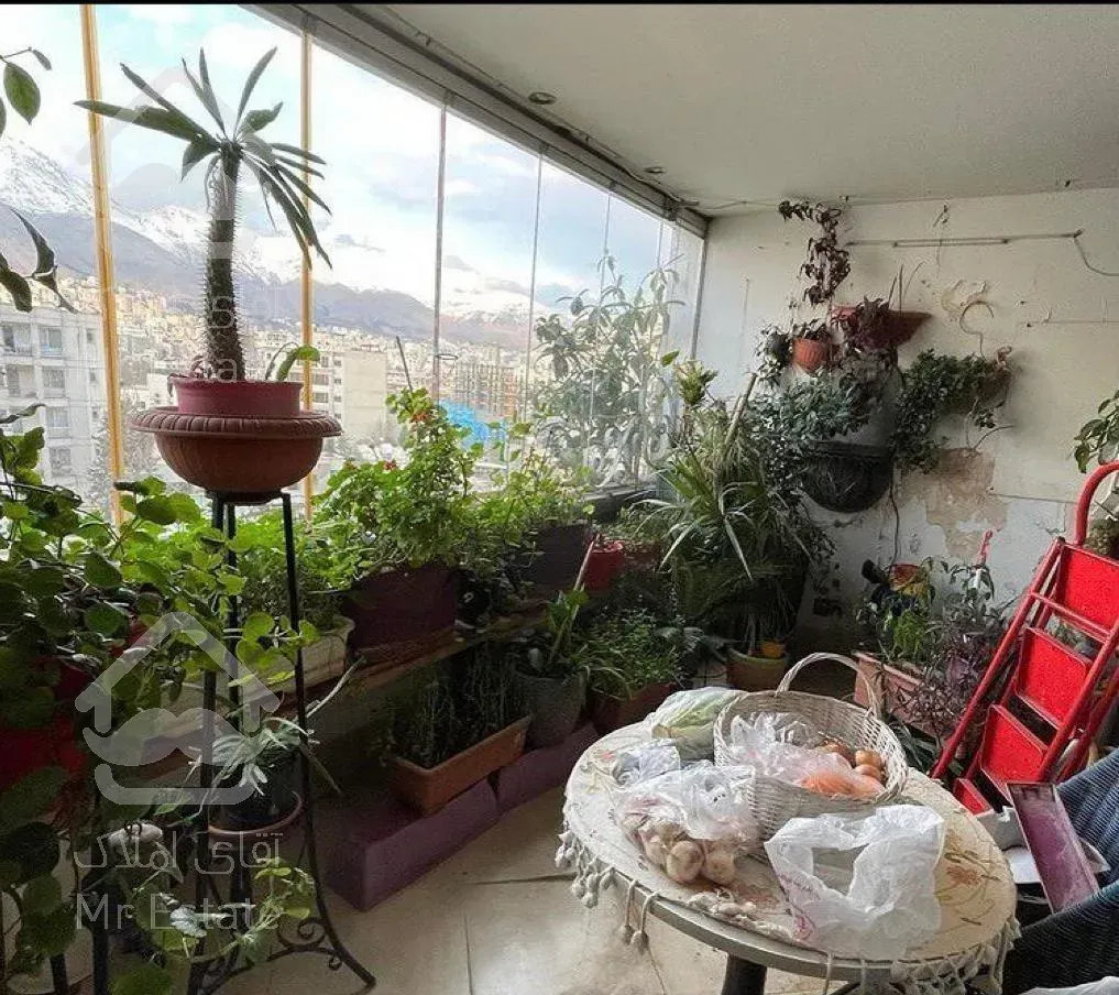 ۱۹۰ متر سه جهت نور/ خیابان سپند