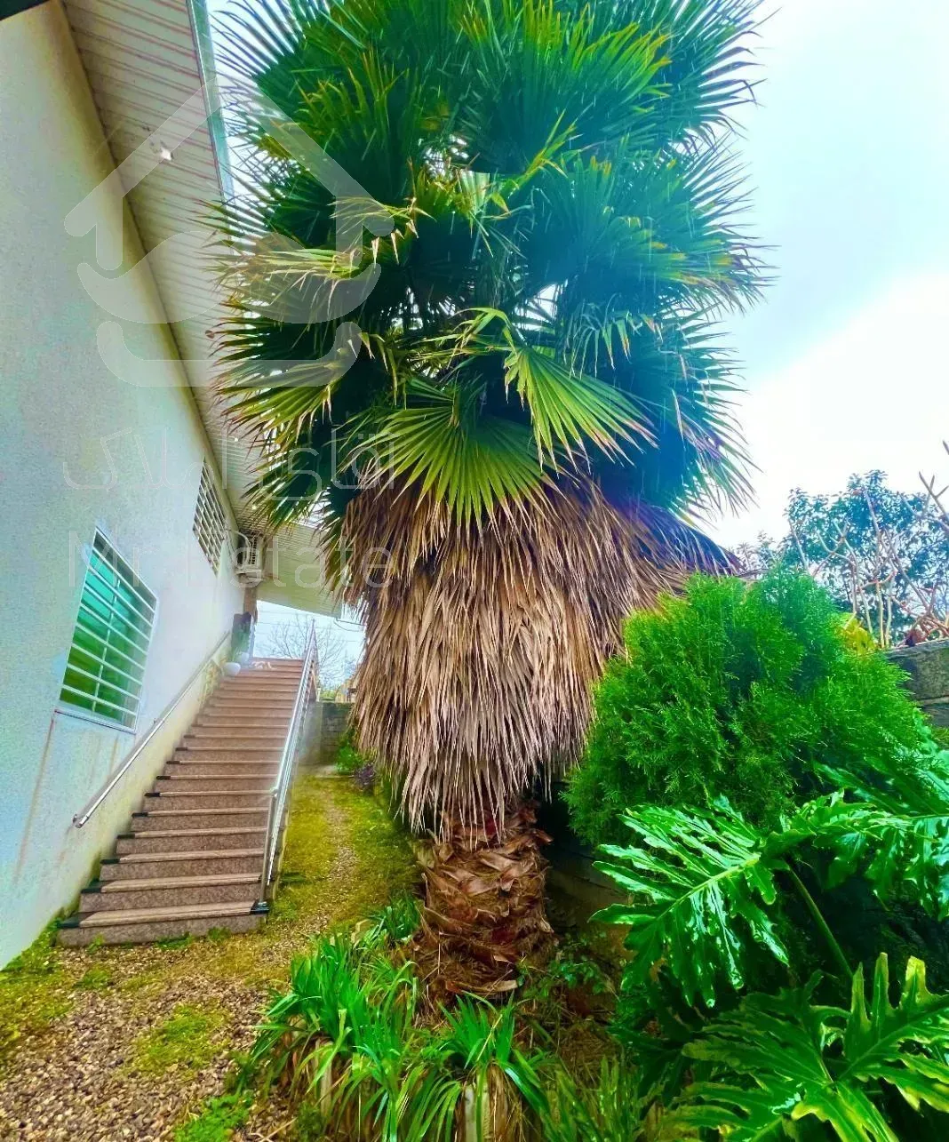 ویلای لوکس در بالادزا