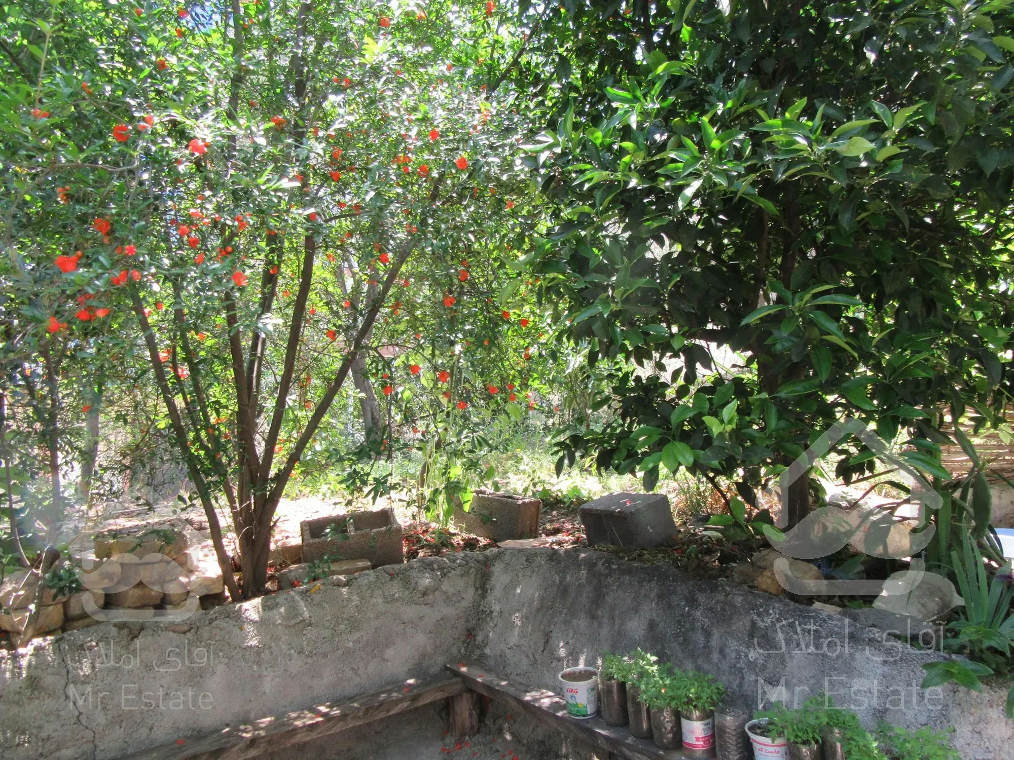 *ویلا باغ  با ویو کوه درفک   گیلان  شمال *