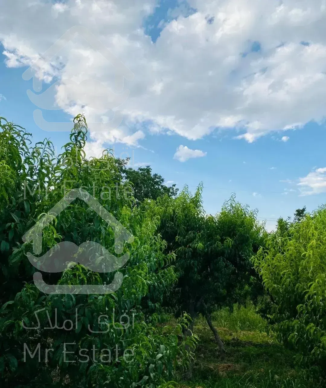 باغچه ویلایی بنا دار وردآورد باغستان