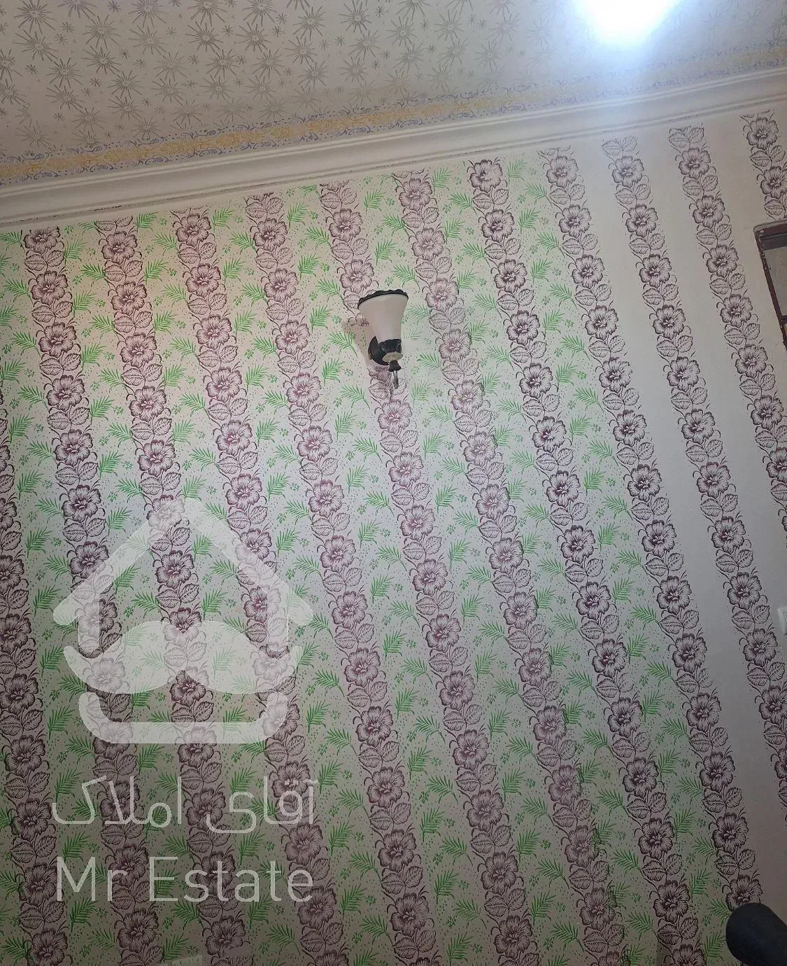 نقاشی ساختمان و رنگ آمیزی طرح کاغذ دیواری