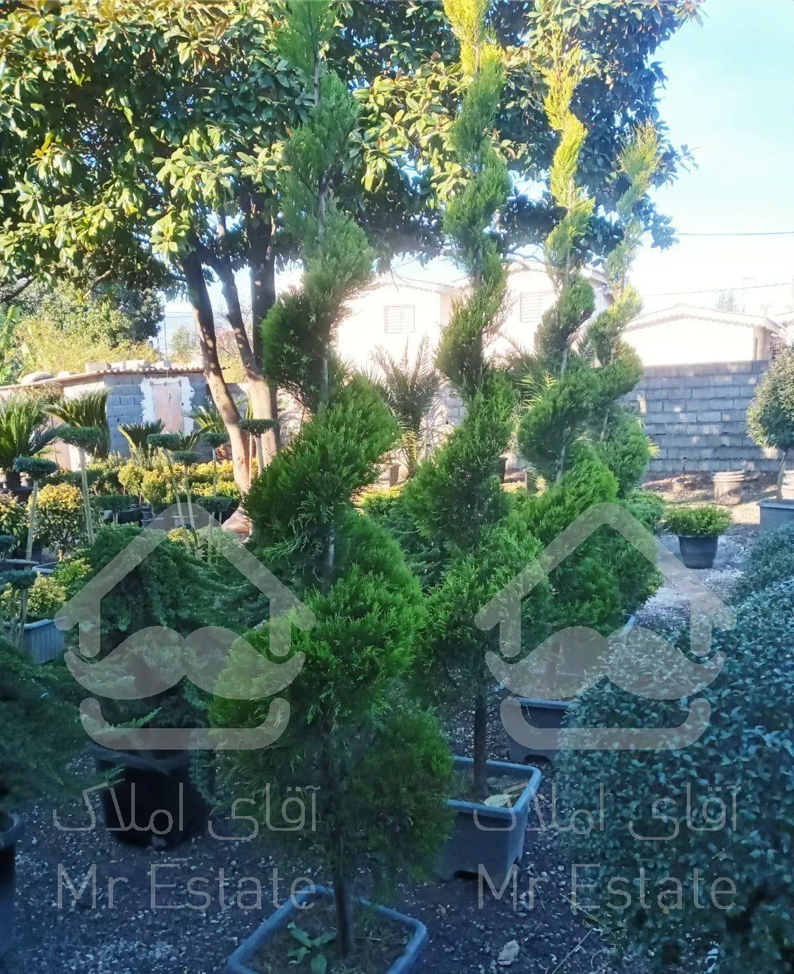 طراحی و اجرای فضای سبز