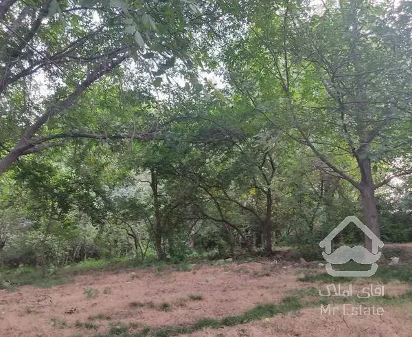 فروش یک قطعه باغ در شهر دماوند