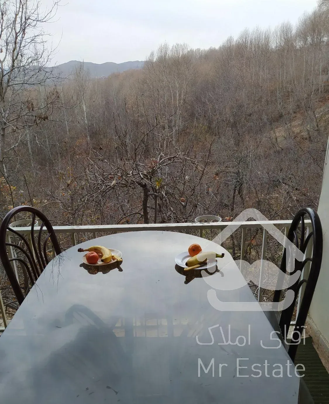 ویلا باغ خوش منظره