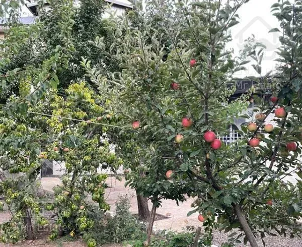 ۲۰۰ متر باغ ویلا در مشاء دماوند