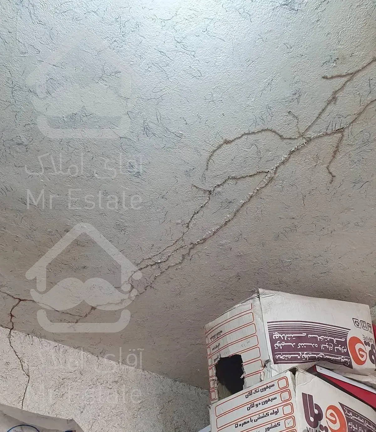 شرکت سمپاشی منازل سم پاشی موریانه سوسک ساس