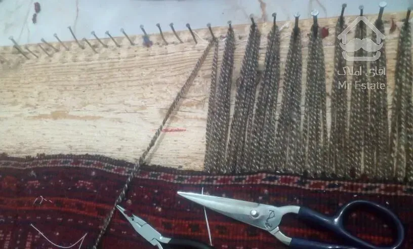 قالیشویی و مبل شویی مدرن دلفین