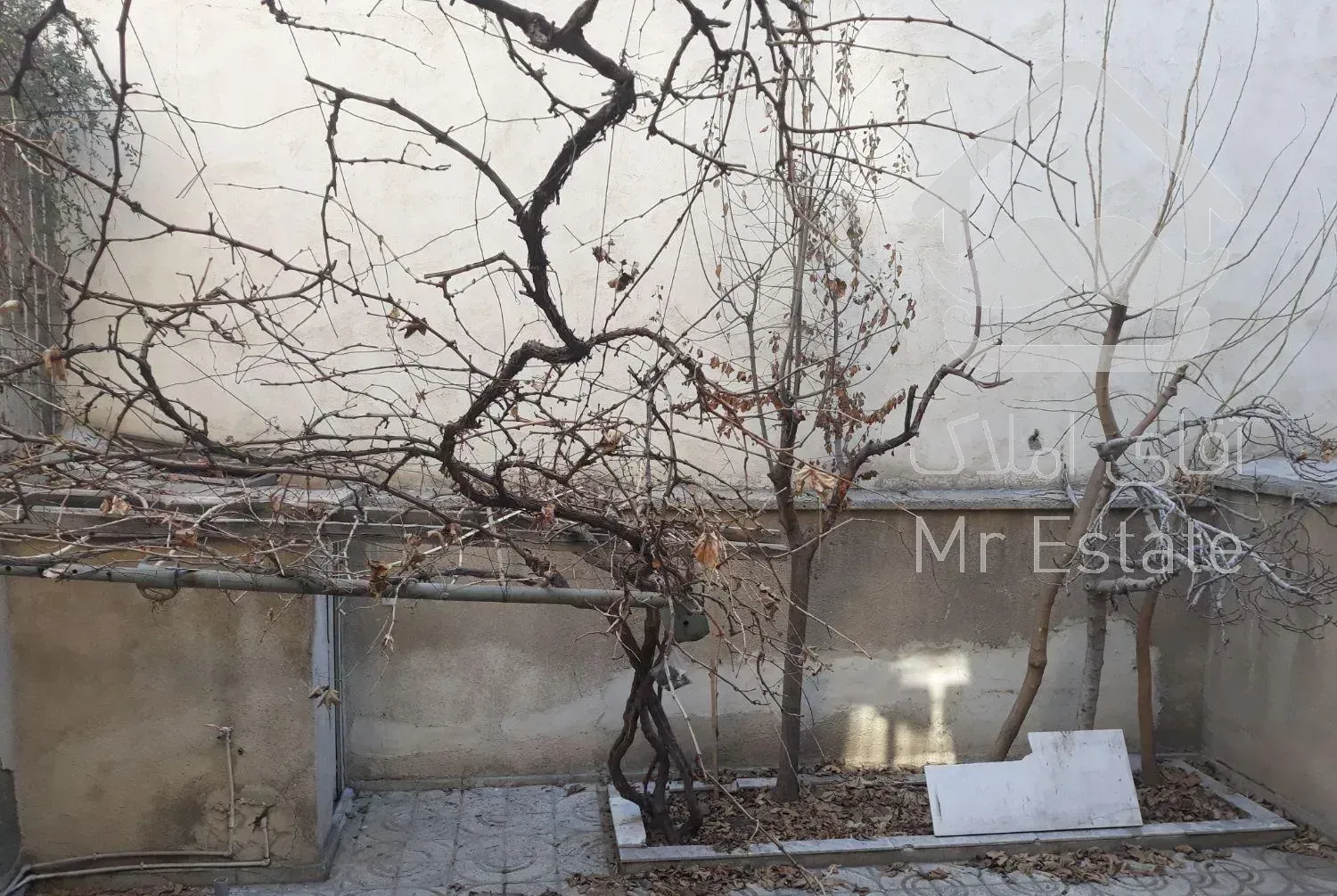 ۹۲ متر طبقه همکف حیاط در اختیار