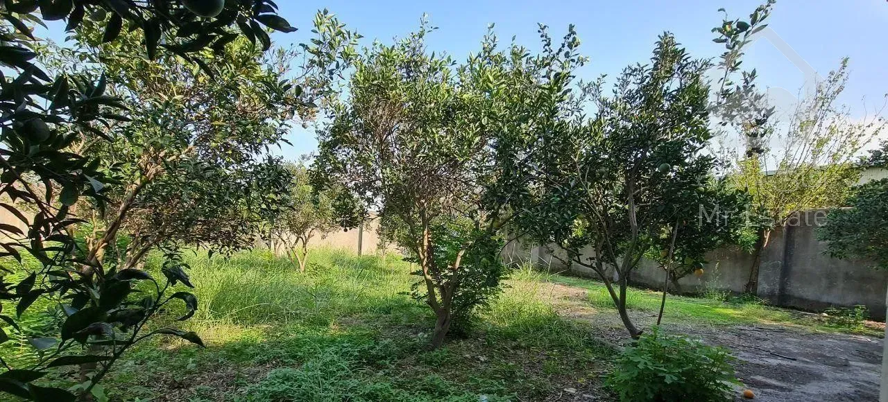 ویلاباغ۳۸۰متربا درختان مرکبات زیر قیمت فریدونکنار