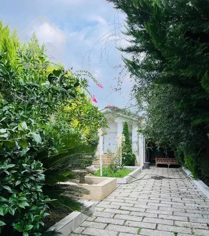 ویلا جنگلی مشجر