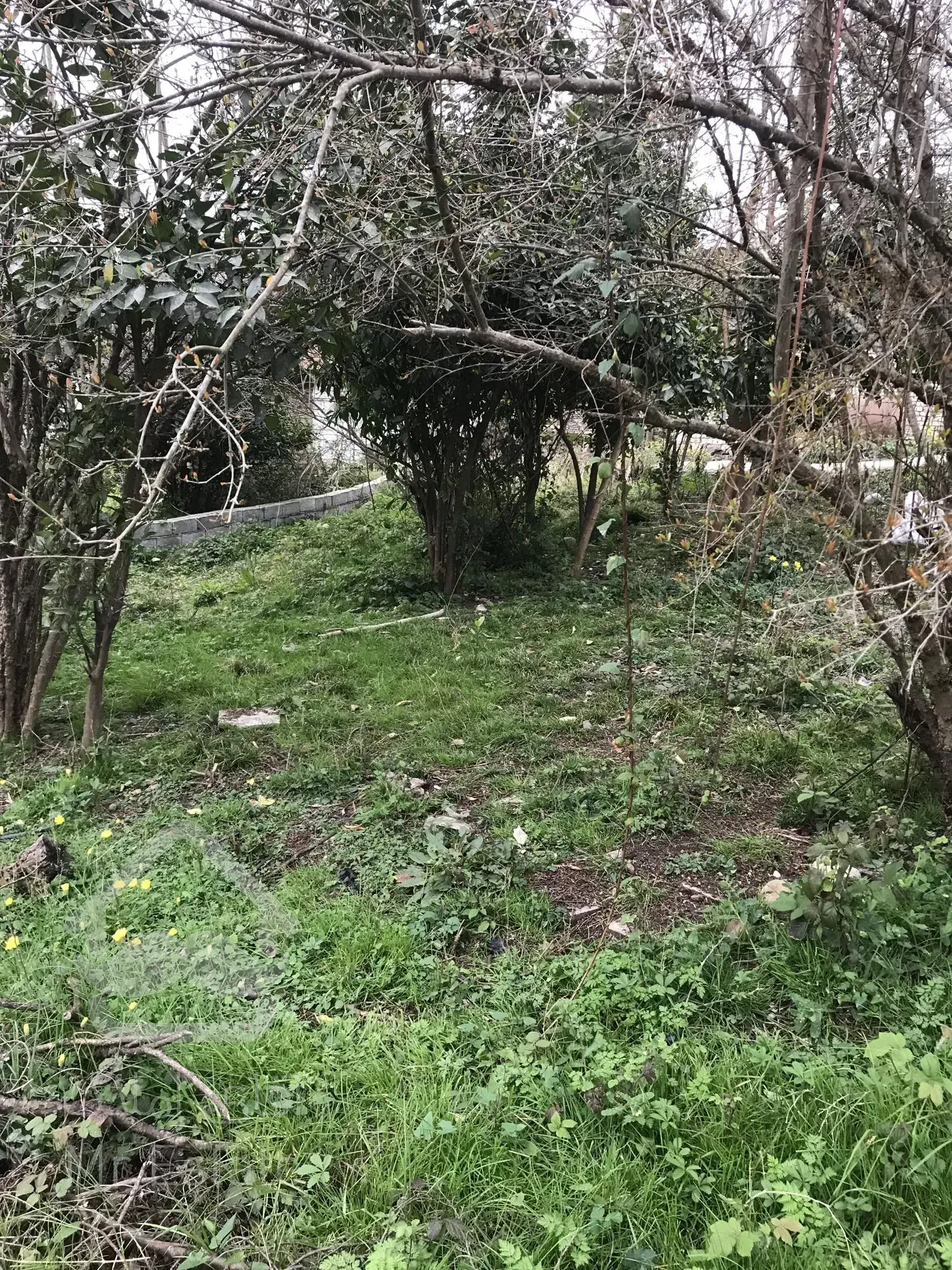 زمین مسکونی، استان مازندران، شهر شیرگاه