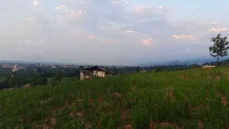 فروش زمین هکتاری جنگلی دارای کاربری