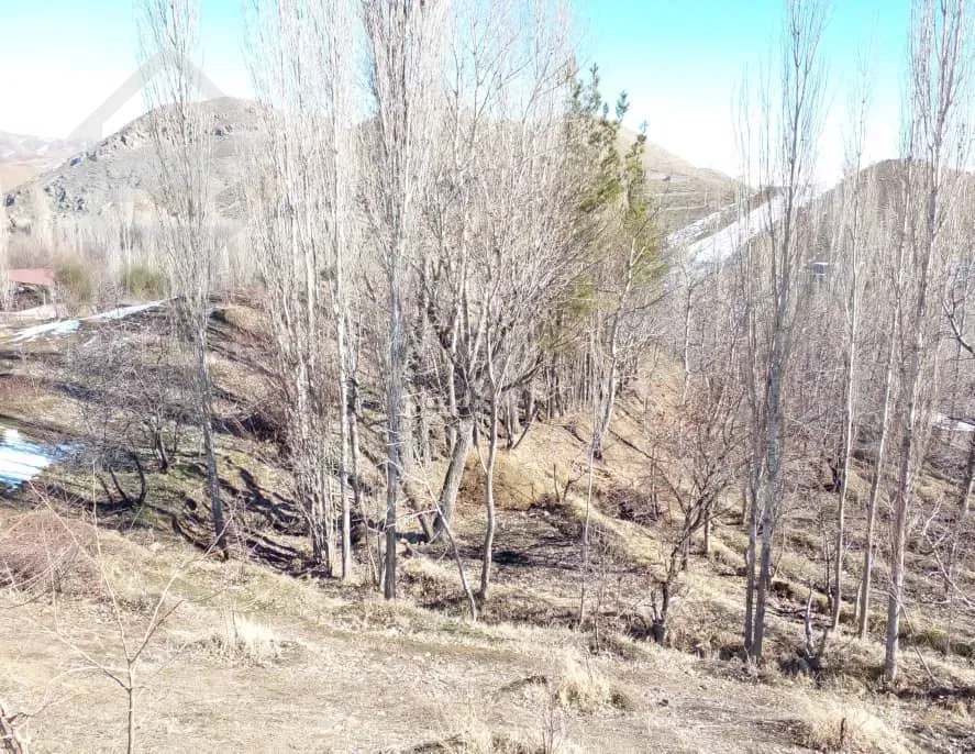 فروش زمین با کاربری باغ با درختان مثمر - مناسب جهت ویلا سازی