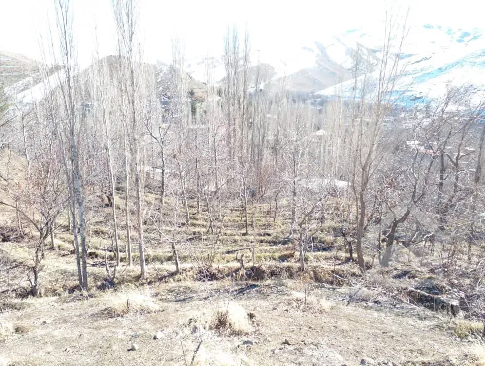 فروش زمین با کاربری باغ با درختان مثمر - مناسب جهت ویلا سازی