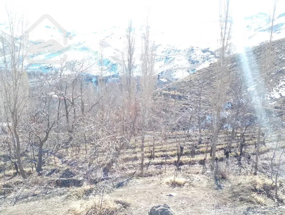 فروش زمین با کاربری باغ با درختان مثمر - مناسب جهت ویلا سازی