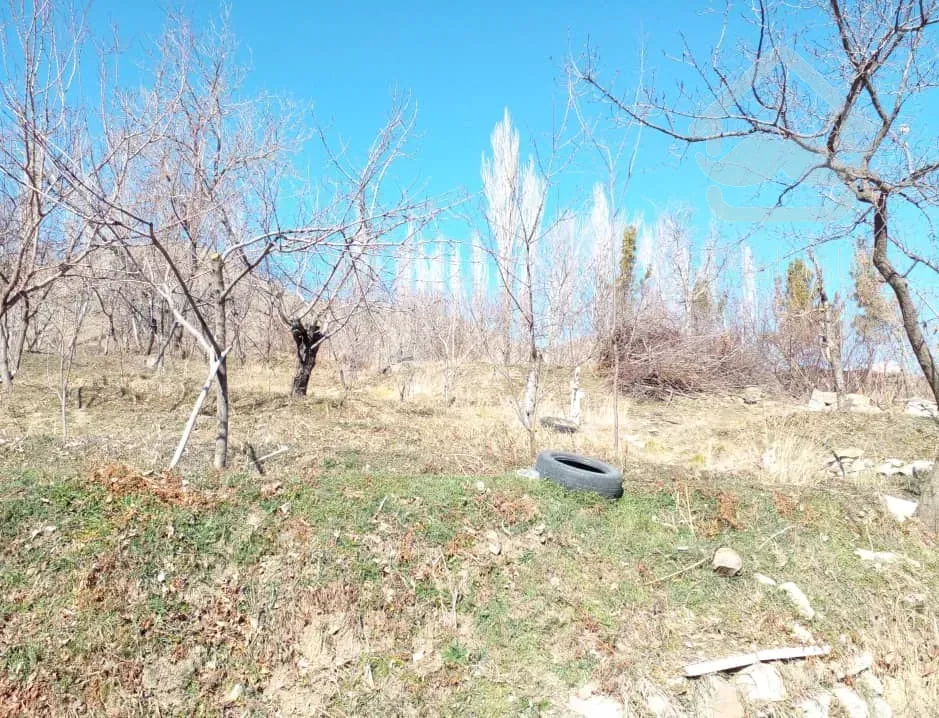 فروش زمین با کاربری باغ با درختان مثمر - مناسب جهت ویلا سازی