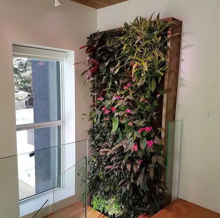 houseImg
