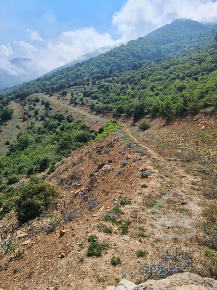 ۳قطعه زمین با کاربری مسکونی