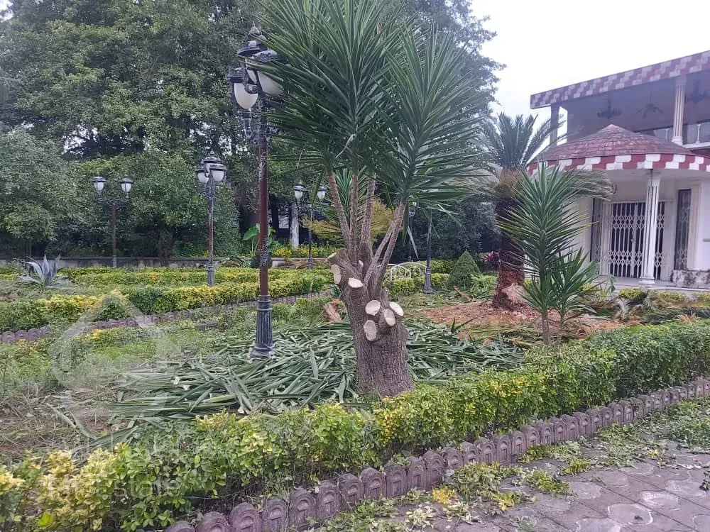 فروش ویژه ویلاتریبلکس متل قو مازندران