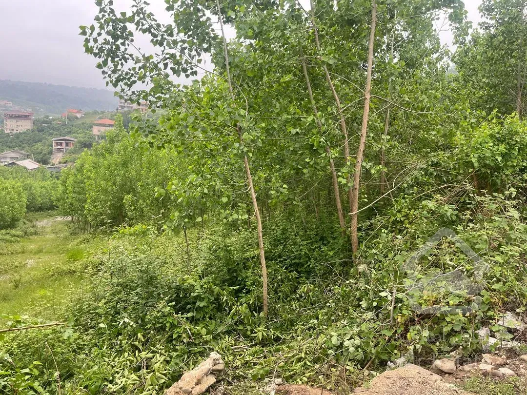 فروش زمین 250 متری در منطقه توریستی بابلکنار