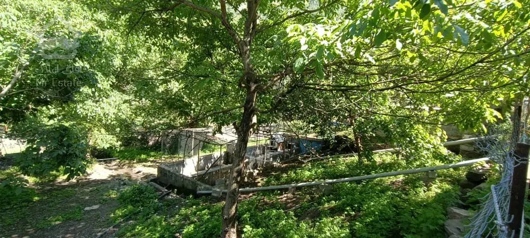 ویلا و مغازه و باغ