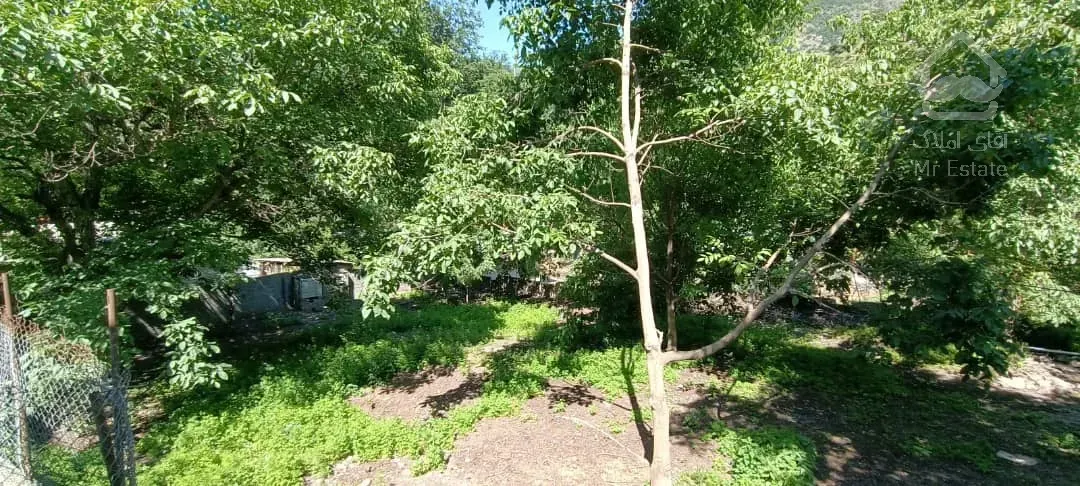 ویلا و مغازه و باغ