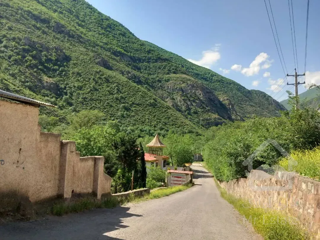 ویلا و مغازه و باغ