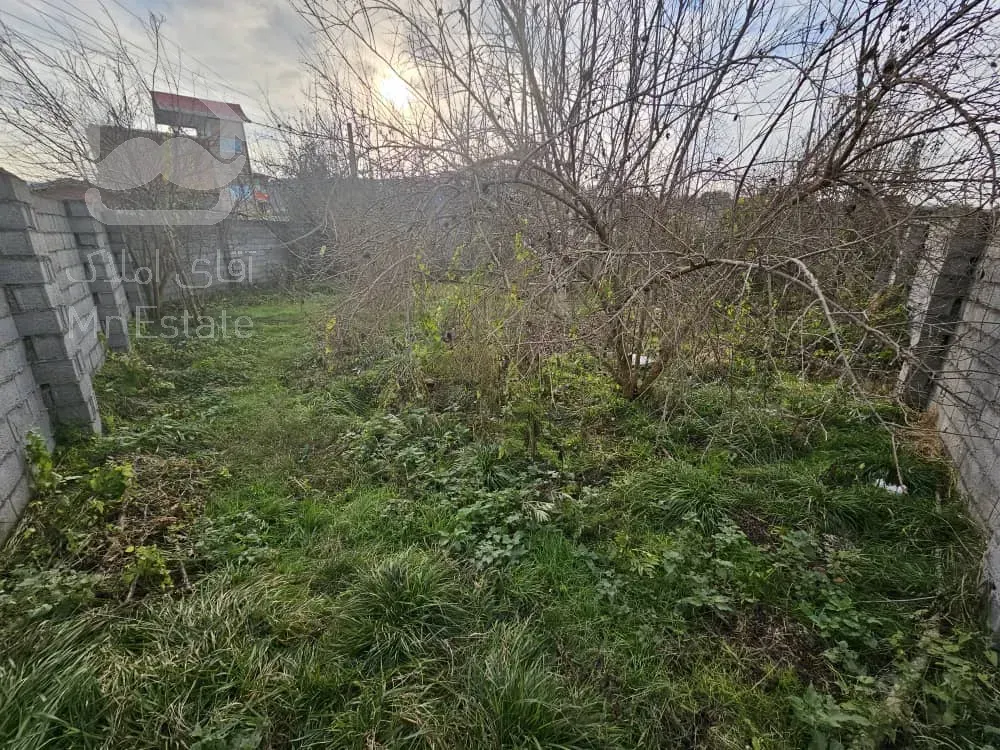 فروش زمین در بافت مسکونی روستای توریستی قادیکلا