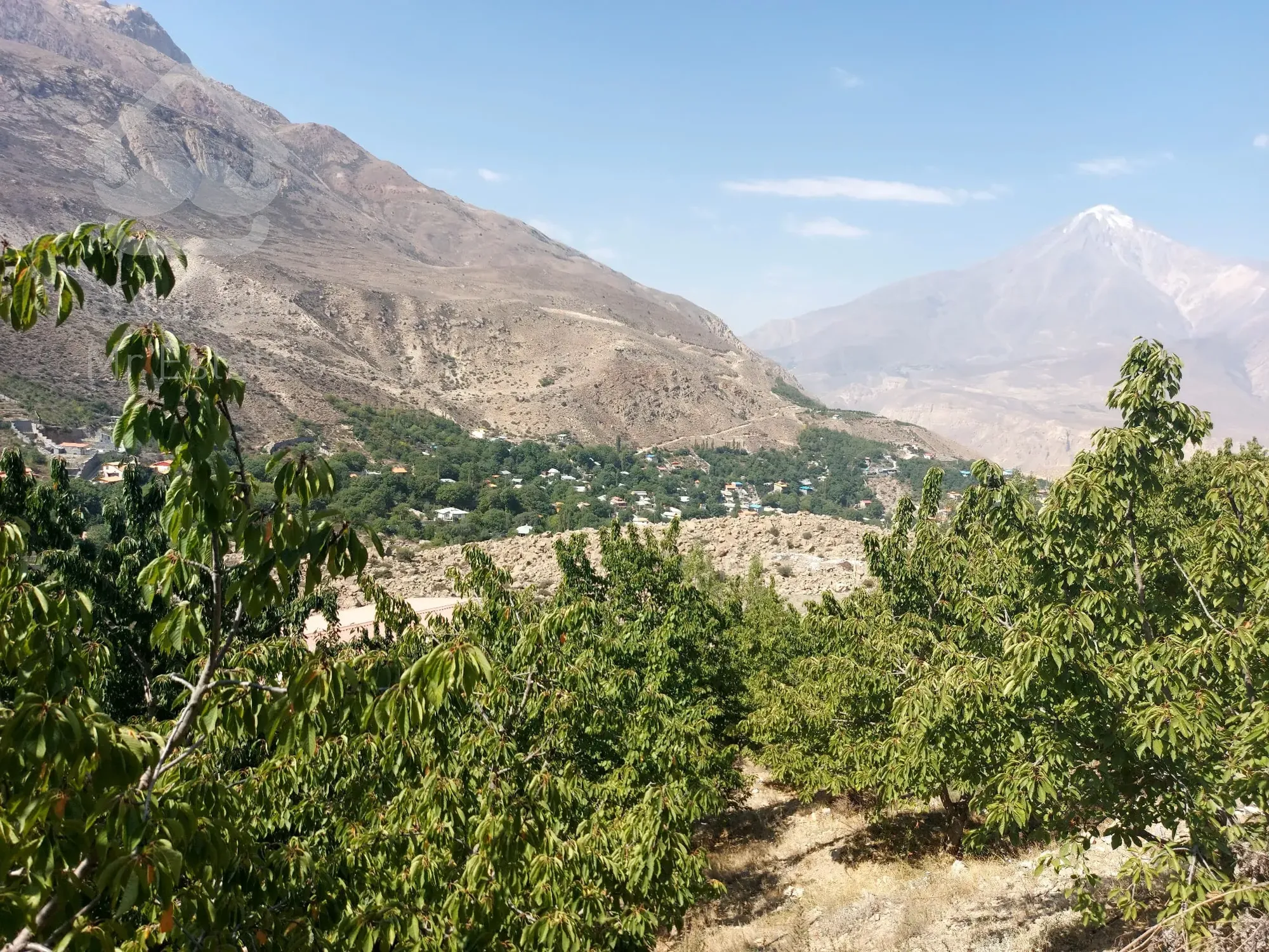 باغ 2000 متری در منطقه آزاد مازندران