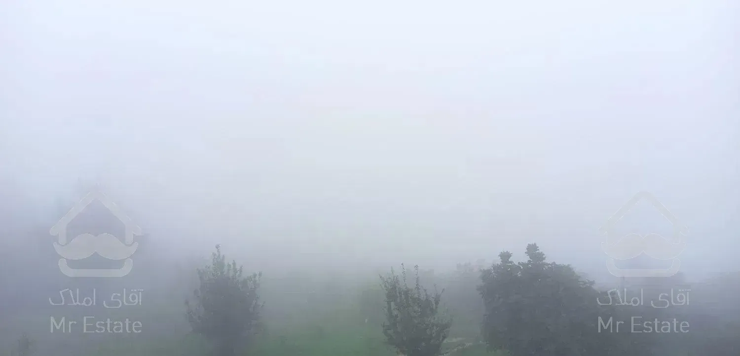 زمین جنگلی قادیکلای بزرگ با موقعیت تجاری  قادیکلا