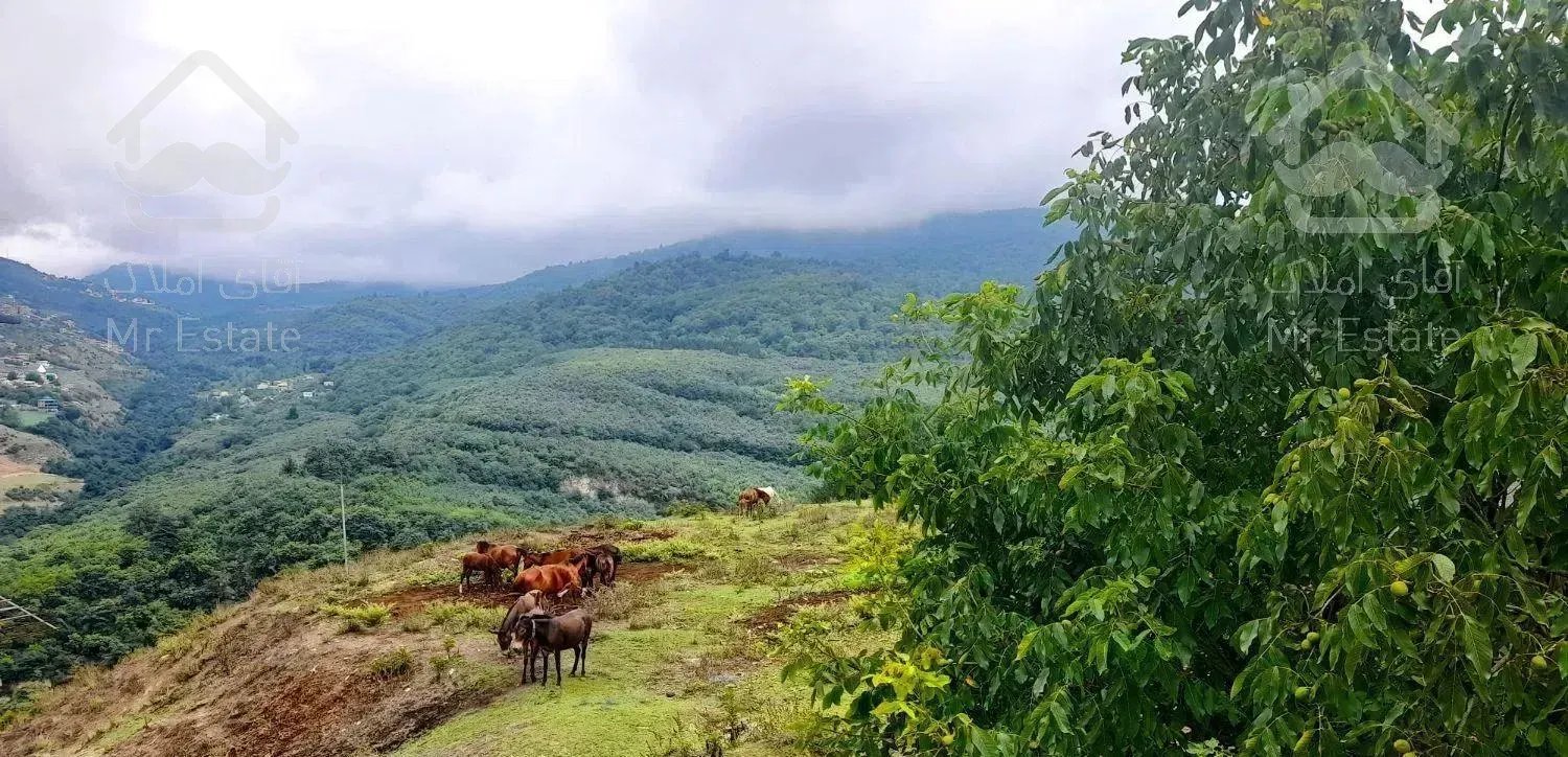 اجاره  ویلا چوبی باغی دربست