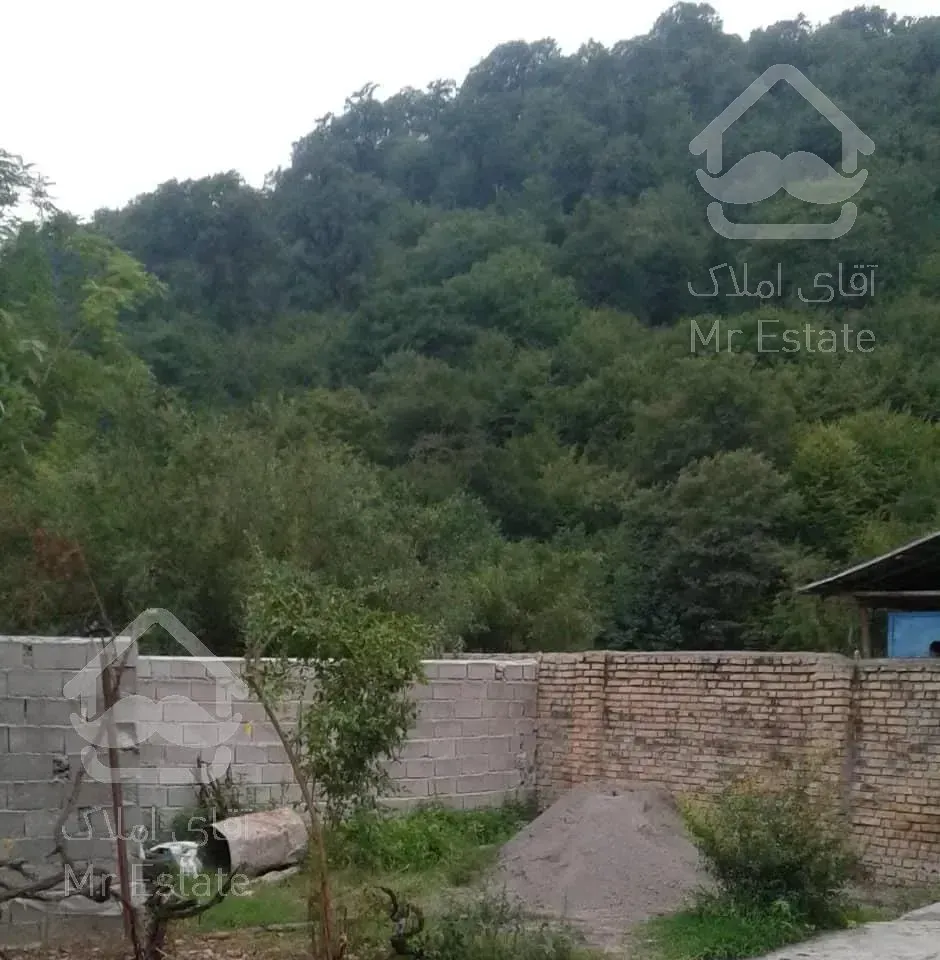 سوئیت‌کنار‌جنگل