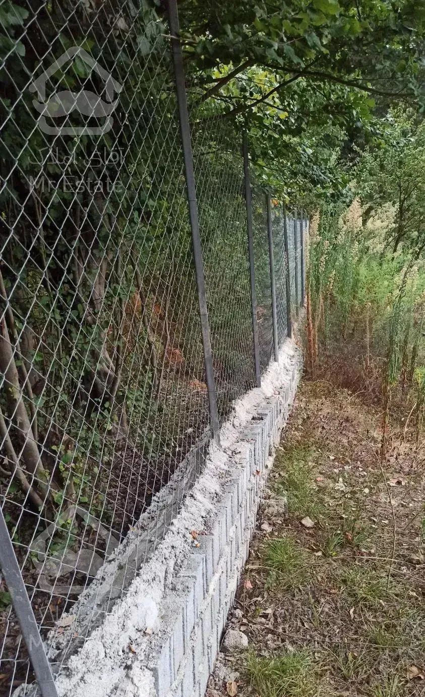 زمین جنگلی قادیکلای بزرگ با موقعیت تجاری  قادیکلا