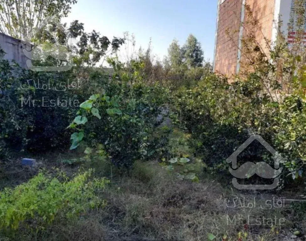 فروش فوری ۲۱۱متر زمین سر جاده اصلی سرخرود مناسب سرمایه گذاری