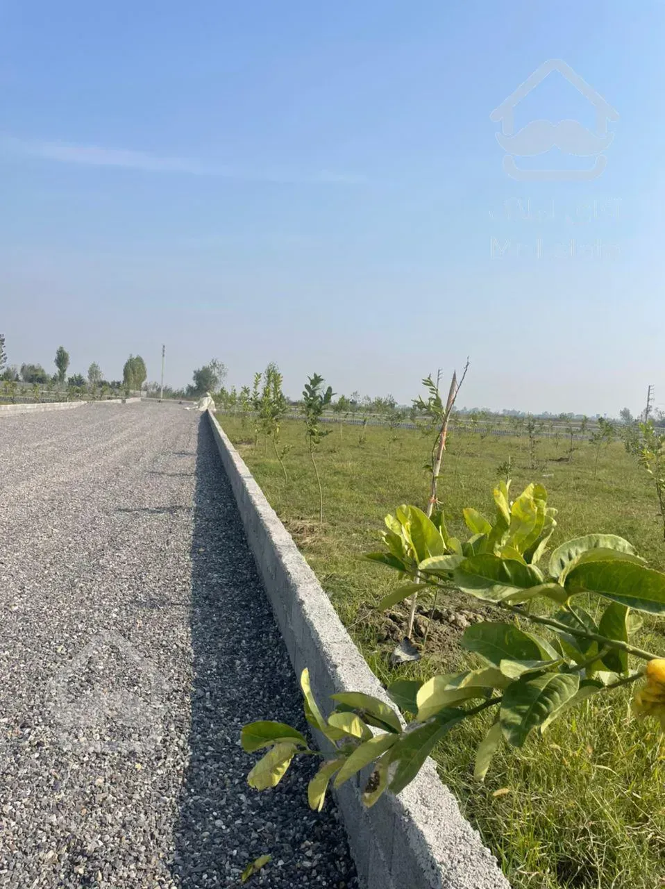 فروش ۷۰۰ متر زمین در جاده سرخرود